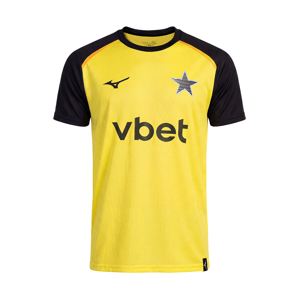 Camisa Treino Mizuno Goleiro 26/27 Amarela