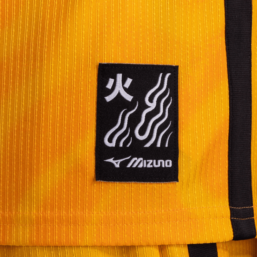 Camisa Mizuno Botafogo Goleiro Home 26/27 Masculina Laranja