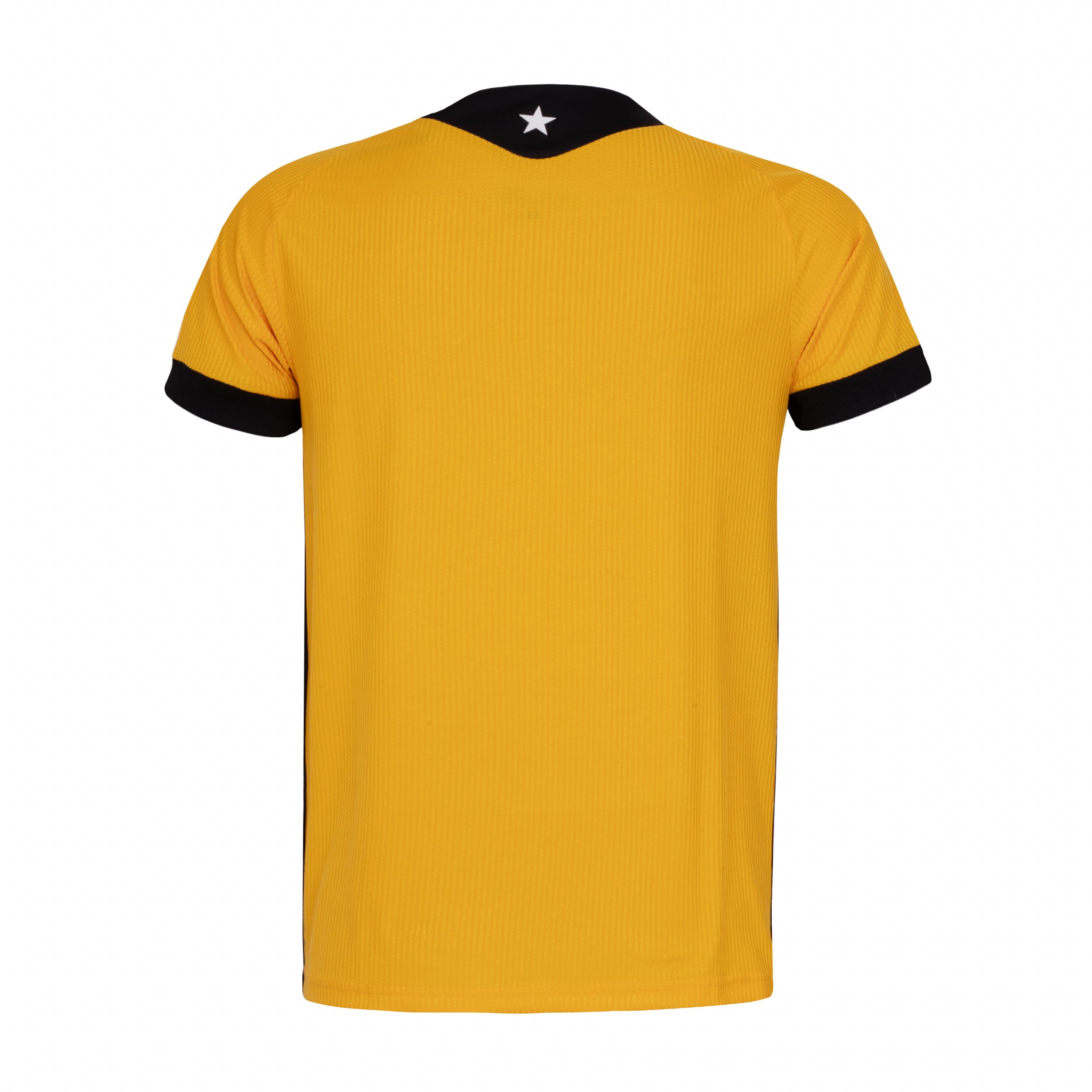 Camisa Mizuno Botafogo Goleiro Home 26/27 Masculina Laranja